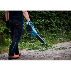Discount Akkulehtipuhallin LXT DUB184RT 18V 5,0 Ah akulla Lehtipuhaltimet