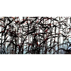 Akustiikkataulu Quiet 80x40 cm eri kuvia (myös omalla kuvalla)*Yeseco Hot