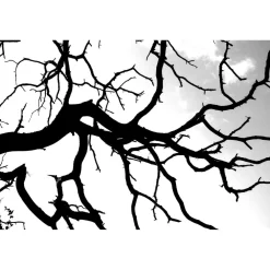 Akustiikkataulu Quiet 180x120 cm kollaasi 6 kpl 60x60 cm eri kuvia (myös omalla kuvalla)*Yeseco Online