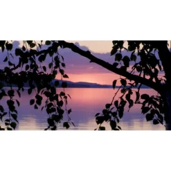 Online Akustiikkataulu Quiet 120x60 cm kollaasi 2 kpl 60x60 cm eri kuvia (myös omalla kuvalla) Akustiikkataulut