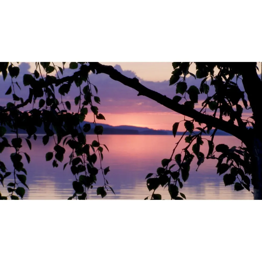 Online Akustiikkataulu Quiet 120x60 cm kollaasi 2 kpl 60x60 cm eri kuvia (myös omalla kuvalla) Akustiikkataulut