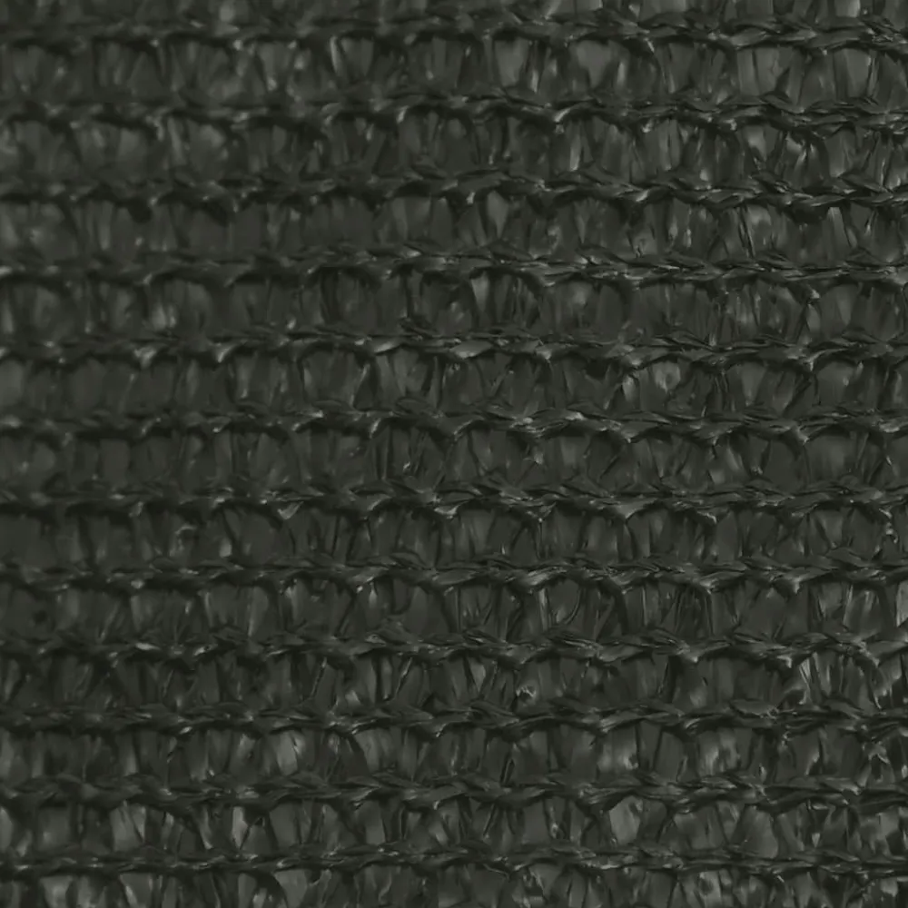 Aurinkopurje 160 g/m² antrasiitti 4x4 m hdpe*FinePRICE New