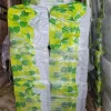 levy 100x565x870mm 2,95 m2/pak*Ekovilla Outlet