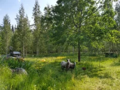 Eläinverkko Zn 1,2x50 m muuttuva silmäkoko (50 m)*AB Polar Online