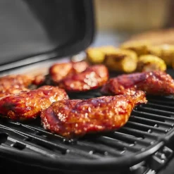 Kaasugrilli Weber Traveler Compact Retkigrillit