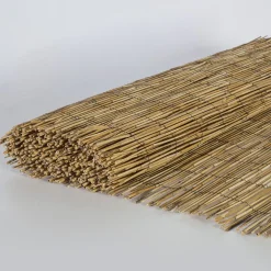 Kaislasermi IN GARDEN 500x100 cm, beige*Home4you Best