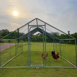 Kanala eri kokoja Lemmikkitarvikkeet