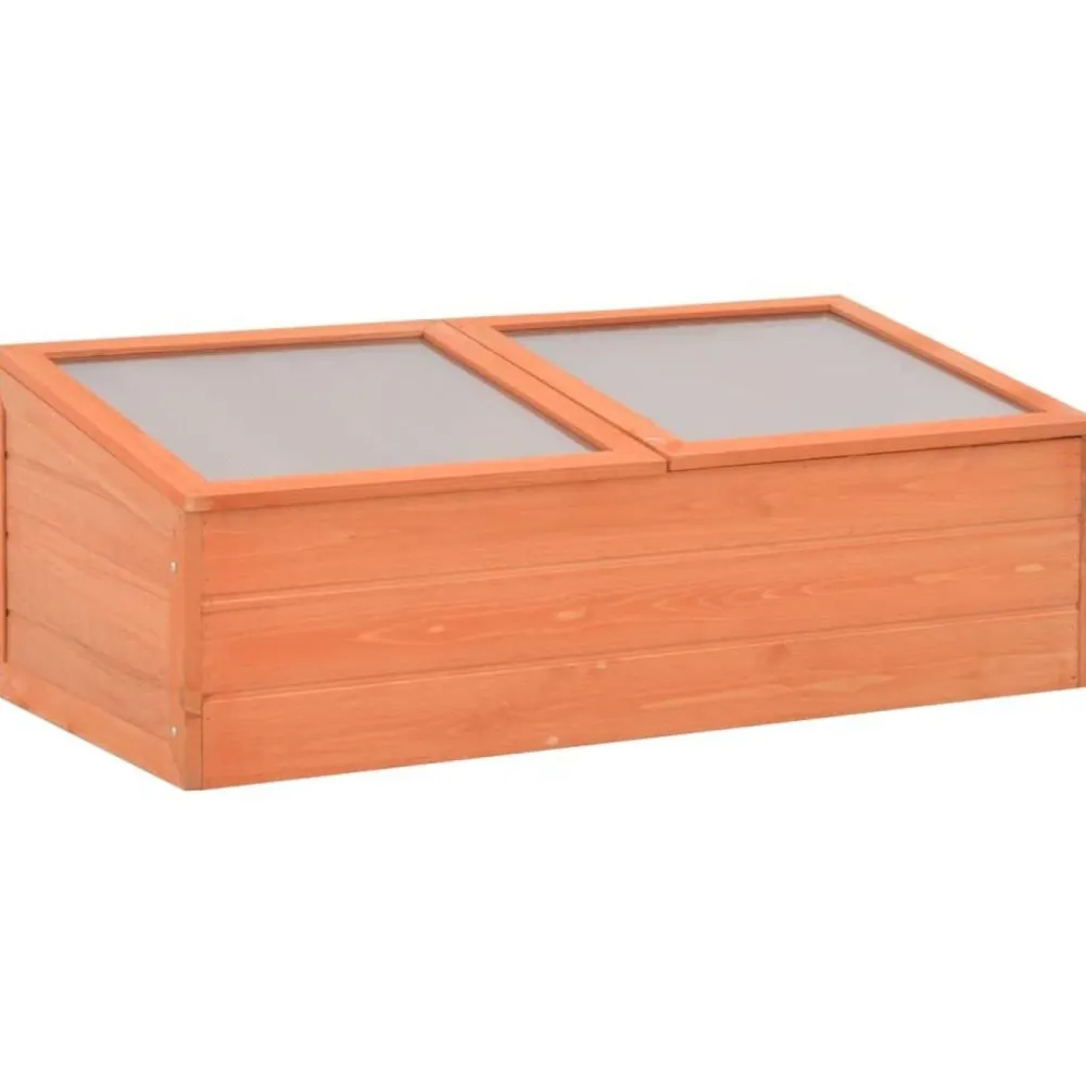 Kasvihuone, 100x50x34 cm*FinePRICE Sale