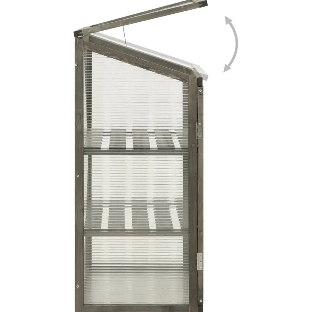 Kasvihuone 60x45x100 cm kuusi (14849)*FinePRICE Hot