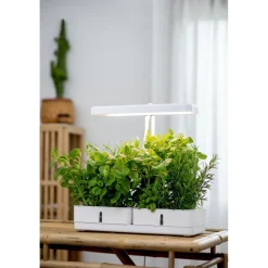 Online Kasvivalaisin Daisy, 20W, 1450lm, valkoinen Kasvivalaisimet