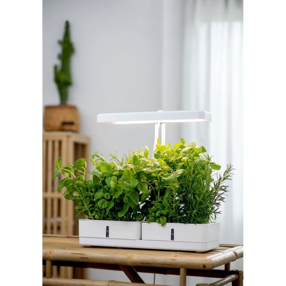 Online Kasvivalaisin Daisy, 20W, 1450lm, valkoinen Kasvivalaisimet