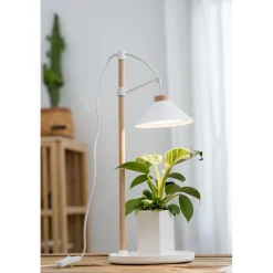Kasvivalaisin Lily, 9W, 550lm, valkoinen/puu Kasvivalaisimet