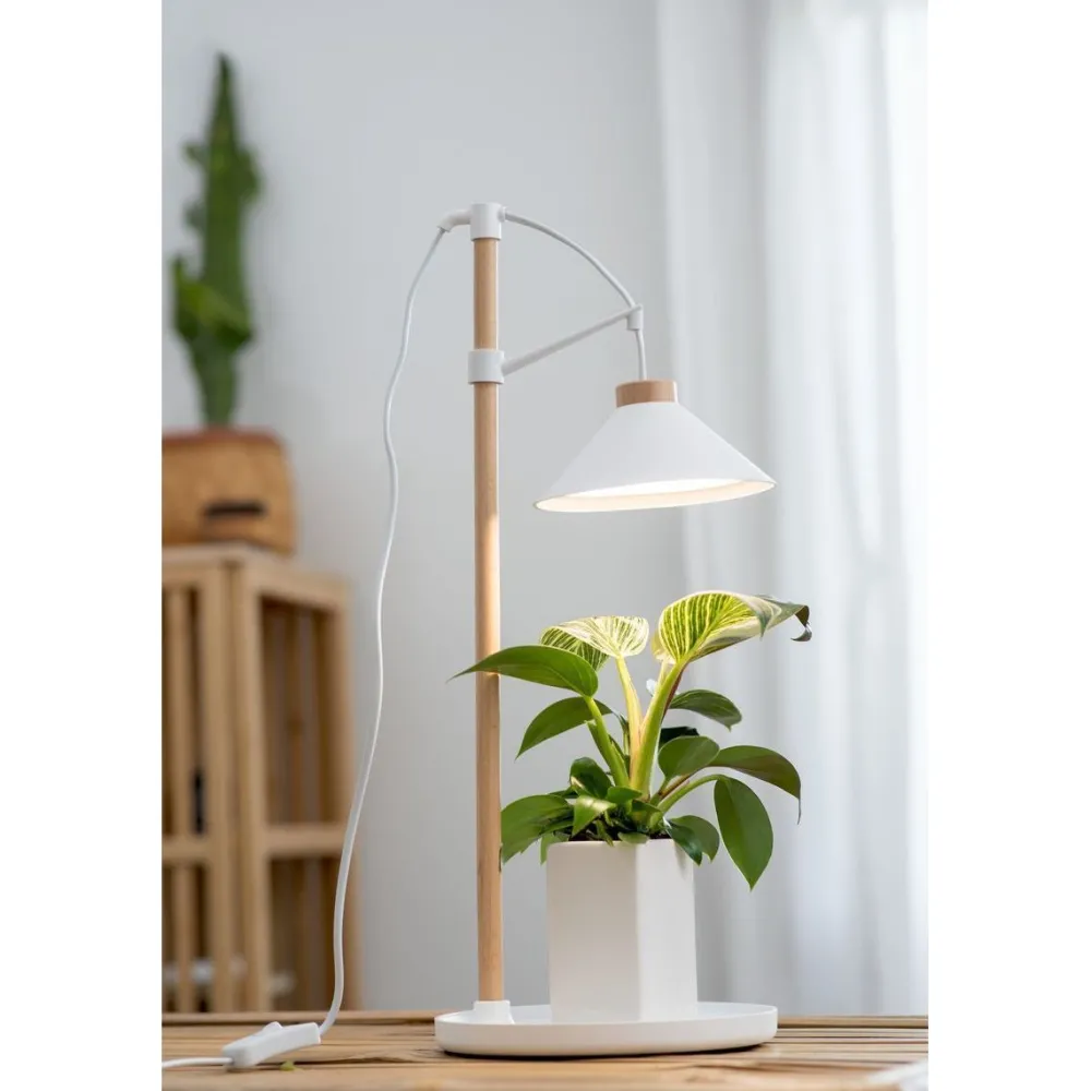 Kasvivalaisin Lily, 9W, 550lm, valkoinen/puu Kasvivalaisimet