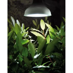 Best Kasvivalo LED-lamppu, 18W, E27 Kasvivalaisimet