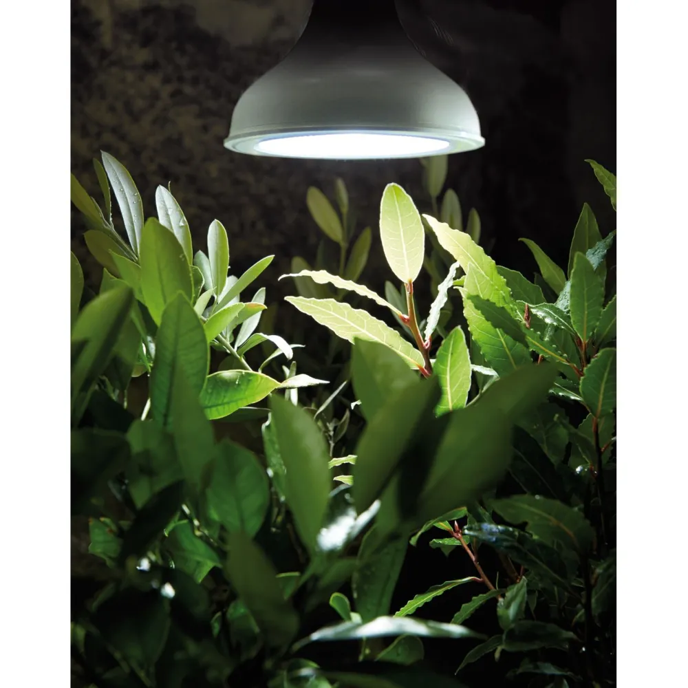 Best Kasvivalo LED-lamppu, 18W, E27 Kasvivalaisimet