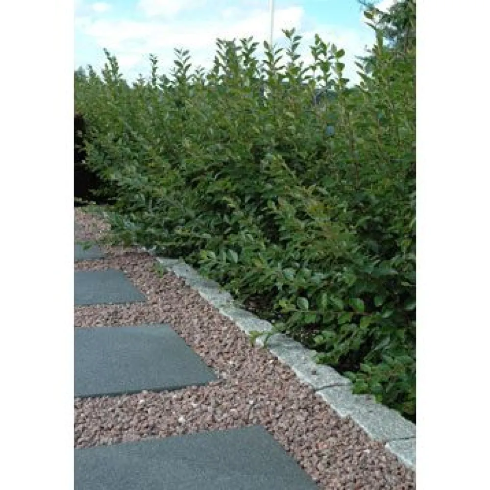 Koristekivi Punainen Graniitti 8-12 mm 42 säkkiä x 25 kg lava 1050 kg*Kekkilä Sale