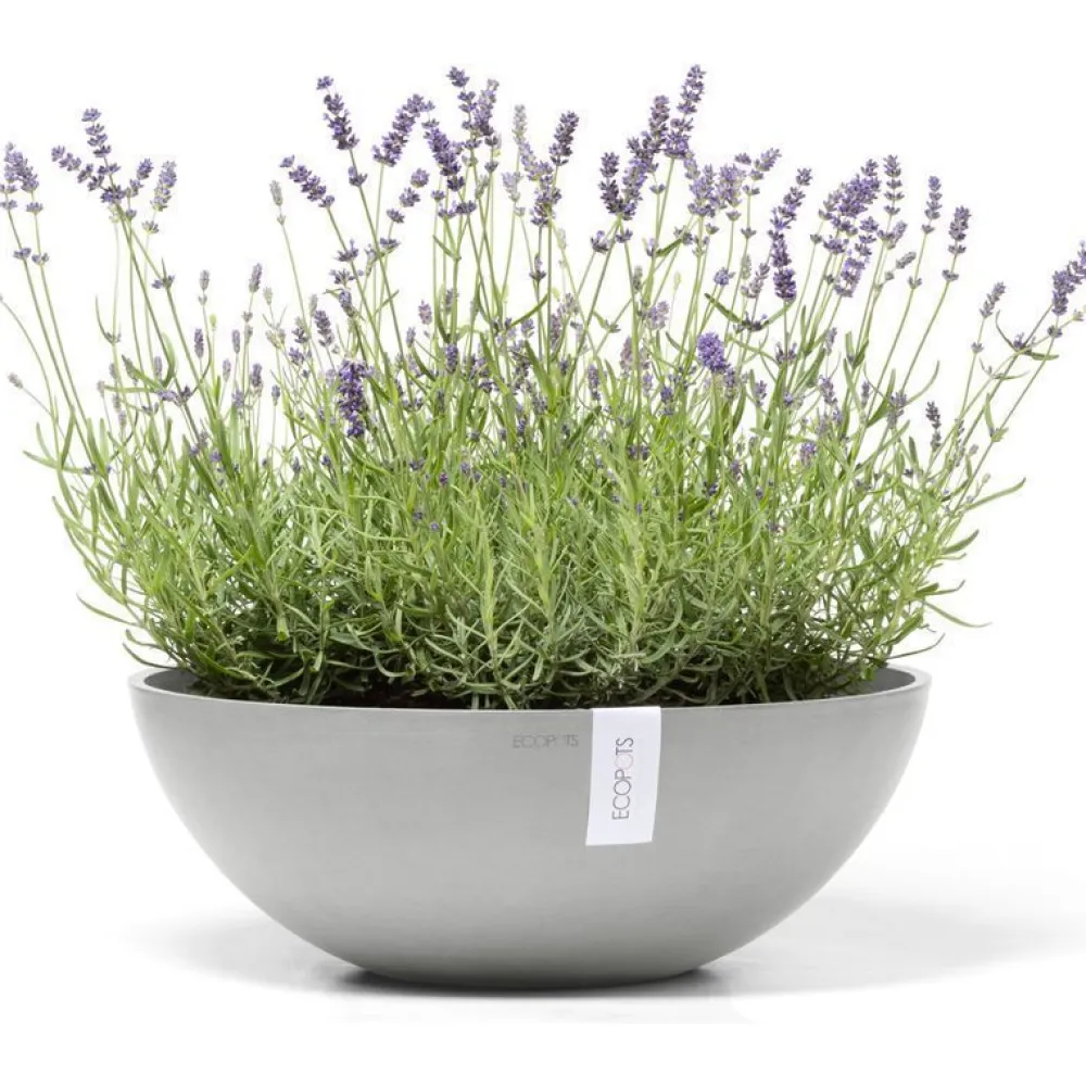 Sale Kukkaruukku Vienna, eri kokoja ja värejä Terassin Sisustus|Terassin Sisustus