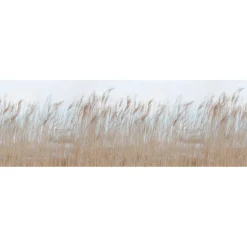 Clearance Kuvatapetti Swaying Reed non-woven mittatilaus Mittatilaustapetit