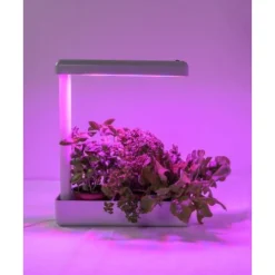 Best LED-kasvivalaisin Herby Plant 10W/840 650lm 4000K Kasvivalaisimet