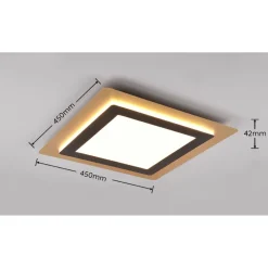 LED-kattovalaisin Morgan, 45x45cm, eri värejä*Trio Discount