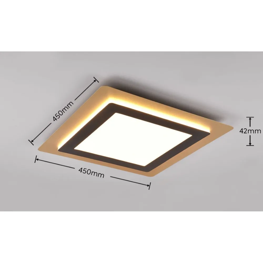 LED-kattovalaisin Morgan, 45x45cm, eri värejä*Trio Discount
