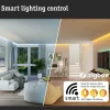 LED-lyhty Plug & Shine Classic, 30cm, Smart Home Zigbee 3.0, IP44, RGBW, antrasiitti*Paulmann Hot