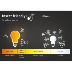 LED-numerovalaisin liike- ja hämärätunnistimella Padea, Smart Home Zigbee 3.0, IP44, antrasiitti*Paulmann Clearance
