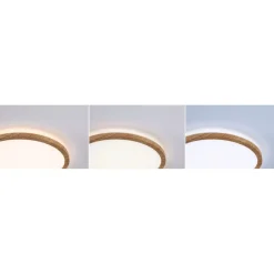 LED-paneeli Atria Shine, pyöreä, IP44, 3000-6500K, eri kokoja*Paulmann Clearance