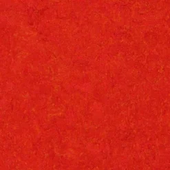 Outlet Linoleumilaatta Marmoleum Click Scarlet 30x30 cm punainen Linoleumi