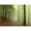 Maisematapetti Forest Path, metsä, non-woven, mittatilaus*Rebel Walls Outlet