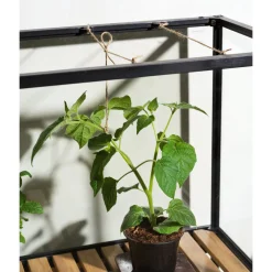Minikasvihuone Grower Greens, 81x41x137cm*Brafab Sale