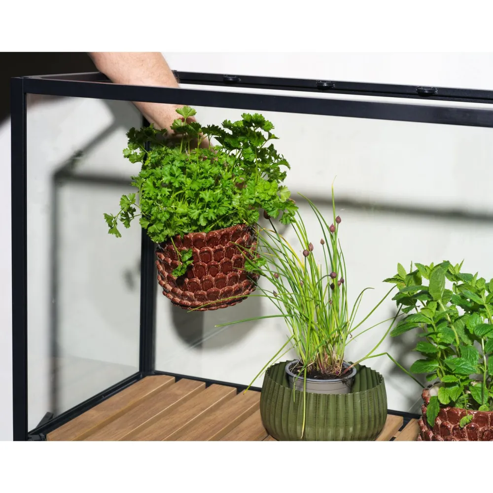 Minikasvihuone Grower Greens, 81x41x137cm*Brafab Sale