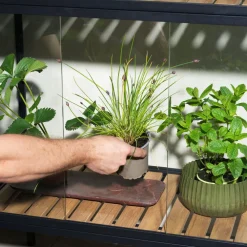 Minikasvihuone Grower Greens, 81x41x137cm*Brafab Sale