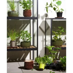 Best Minikasvihuone Grower Greens, 81x41x82cm Minikasvihuoneet