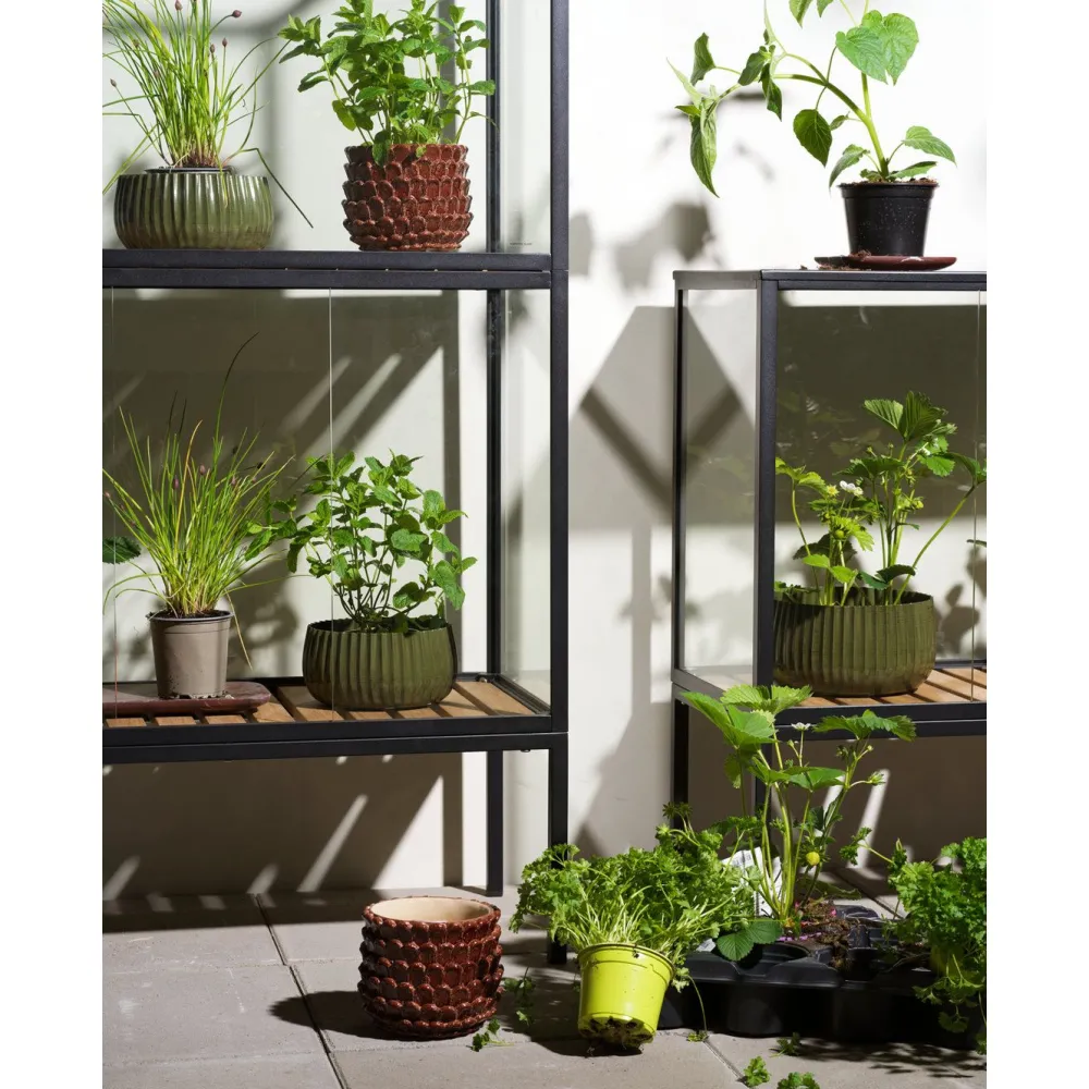 Best Minikasvihuone Grower Greens, 81x41x82cm Minikasvihuoneet