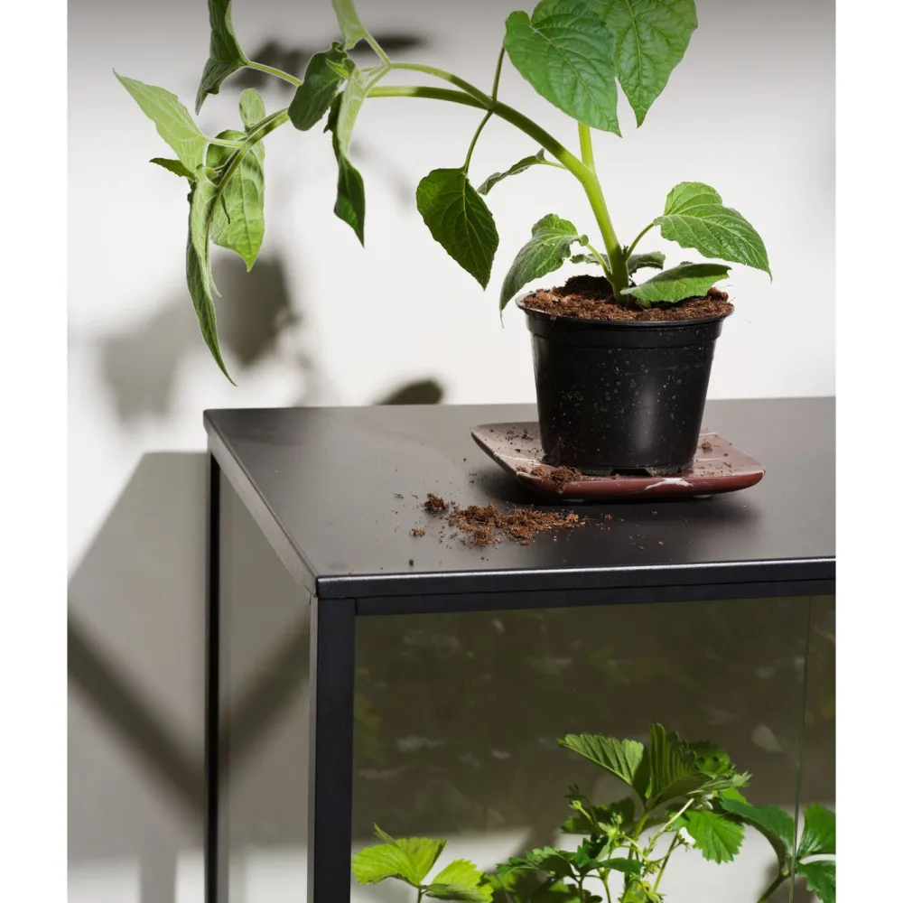 Best Minikasvihuone Grower Greens, 81x41x82cm Minikasvihuoneet