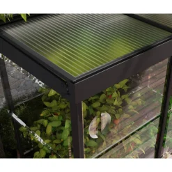 Minikasvihuone IVY, 0.8m², polykarbonaatti, musta*Palram-Canopia Hot