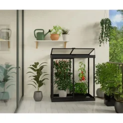 Minikasvihuone IVY, 0.8m², polykarbonaatti, musta*Palram-Canopia Hot