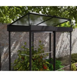 Minikasvihuone IVY, 0.8m², polykarbonaatti, musta*Palram-Canopia Hot