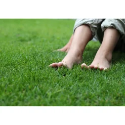 Männynkuorikate , 70 säkkiä x 50 litraa/lava, 3500 litraa*GreenCare Outlet