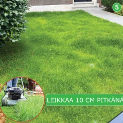 Nurmikon siemenmatto Extra Grön, 10 m²*Turfquick Discount