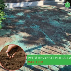 Hot Nurmikon siemenmatto Ornamental Premium, 10m2 Nurmi Ja Kuntta