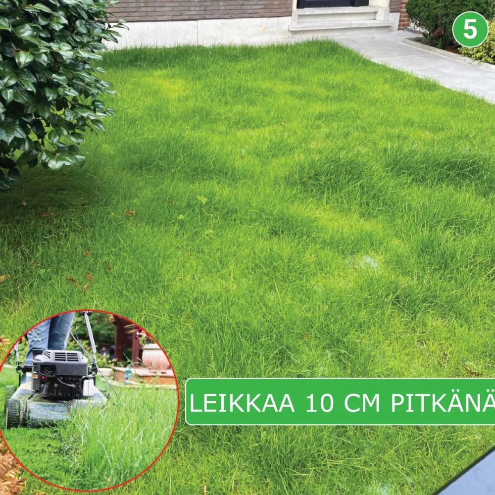 Outlet Nurmikon siemenmatto Sport, 40 m² Nurmi Ja Kuntta