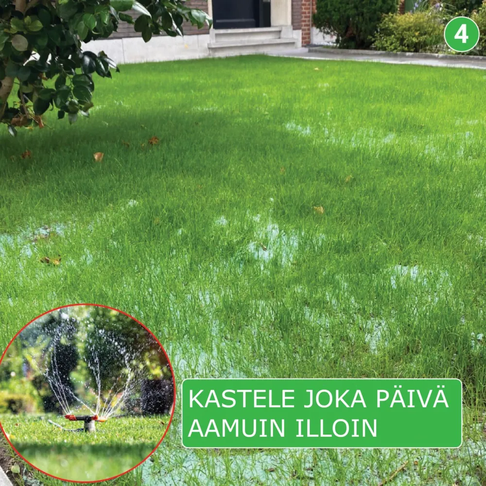 Outlet Nurmikon siemenmatto Villa Classic, 40 m², 20 kpl Nurmi Ja Kuntta