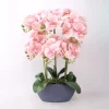 Orkidea GARDEN QUEEN K64 cm, vaaleanpunainen*Home4you Sale