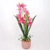 Hot Orkidea GARDEN QUEEN K70 cm, tumma vaaleanpunainen Tekokasvit Ja Kranssit