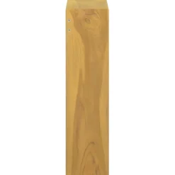 Peilikaappi 30x10x40 cm täysi tiikki (38243)*FinePRICE Clearance