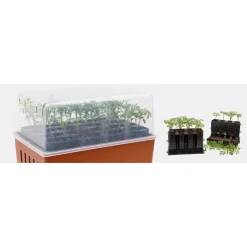 Pienoiskasvihuone Rootmaster, 195x290 mm, ruskea*Nelson Garden Best