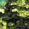 Puutarha-aita 5x10cm 1,2x25m 0% PVC musta*Hortus Sale
