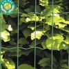 Sale Puutarha-aita 5x10cm 1x25m 0% PVC vihreä Aitaverkot